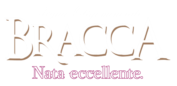 SOLO-BRACCA